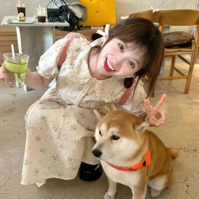 同路人